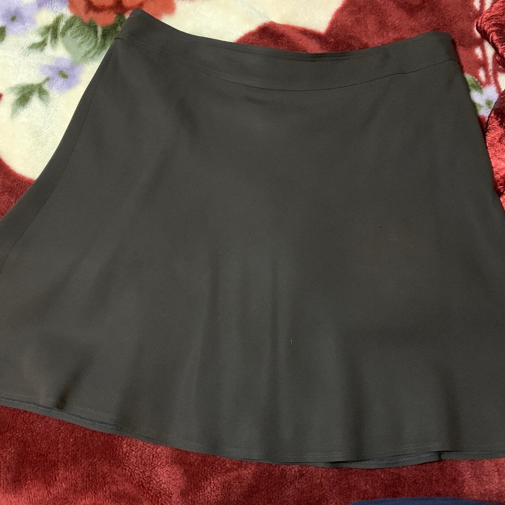 Ann Taylor Loft Women’s Brown Lined A-Line Skirt